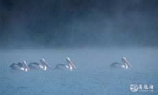 2023年3月25日和26日是否适宜选择为领证吉日?