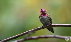 在2023年3月17日和18日这两天,是否是适宜领结婚证的黄道吉日?