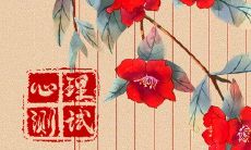 经过测试,有关颜值的挑战:能否从丑陋女孩蜕变为美丽女性?