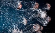 如何查询2023年闰二月初三吉时是几点?