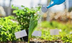 在2023年的兔年,对于动土工程,哪一天最适合开工?是3月29日、30日还是31日?让我们来探讨一下