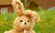 2023年属兔宝宝的运势及破月日期在哪个月?