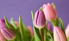 2023年本命年是否适合创业?开店前需知的经验与注意事项,助你成功迈向创业之路!