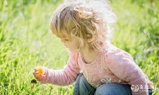 探究十字头中包含那些字,并寻求以“华丽”、“优美”、“大气”的“卉字女孩”为主题的命名搭配建议