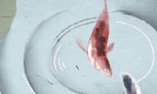 详解八字预测如何辨别吉凶趋势,提供实用指南以规避风险与获得好运