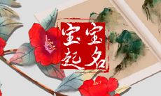 2023年的舒适和美丽,从起名开始:跟着朗朗起名分享,迎来一个名字更易于朗朗上口的新时代!