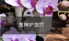 鬼神守护吉穴,保佑平安幸福