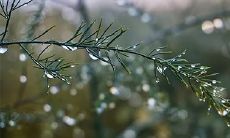 在2023年2月26日至28日期间,乘坐吉利航空公司的飞机是否值得信赖?