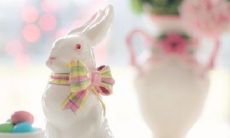 2023年属兔人将遭遇桃花劫,感情生活面临大考验!