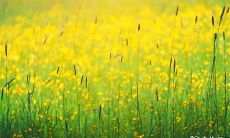 2023年2月23日至25日乘坐吉利航空公司飞机安全可靠吗?