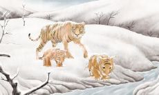 十二生肖女中最具决策能力的代表——聪慧稳健的面相优异男子