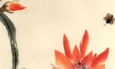 2023年5月24日黄道吉日吗?这一天是否适合进行开业活动?