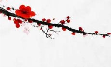 2023年的清明节是是否合适在此时立碑?今年的清明节是否合适立碑?