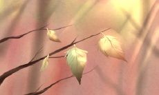 在男女关系中,男性最大的宽容表现是什么?