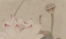 是否可以在2023年清明节期间进行祭祀活动并修葬墓地?