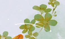 详细了解在2023年4月份装修新房的吉日良辰:感受好日子一览表的指引作用