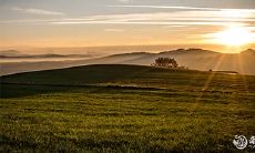 从抠门到大方的转变:生肖男中对待老婆最抠门的男人如何变成舍得给老婆花钱的绅士?