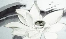 详解2023兔年5月黄道吉日吉时的装修好日子一览表