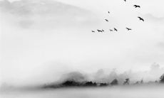 2023年癸卯年5月的黄道吉日——最佳时机安排装修事宜