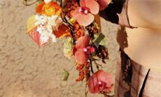 2023年5月12日,你是否想要结婚呢?可能是个吉利的日子,不妨考虑一下这个日期作为嫁娶的日子吧!