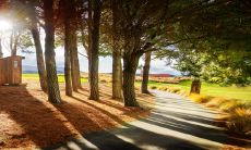 特征与命运研究:探究春分日出生的人在2023年为什么容易变得凶恶,并分析他们可能具备的性格特征和命运走势