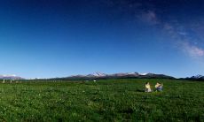 春分日出生者的信仰和传统:2023年春分节的习俗和仪式