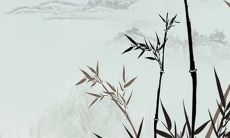 寻找2023兔年开业吉日吉时?不要错过5月份的最佳开门做生意机会!