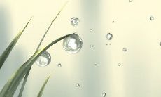 测试2017年你是否招惹上了烂桃花,通过评估一系列指标来预测你的桃花运呈现出何种倾向性