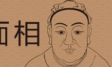 探析象鼻面相特征:以象鼻子为例,揭示其对个人命运的影响