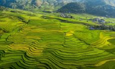 室内地面低于室外是否会影响搬家成本和财务状况?房屋高度的设计对于经济效益的影响值得考虑