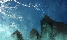 塌鼻子的人可以成为成功人士吗?塌鼻梁是否等同于丑陋?