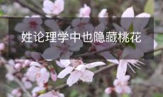 在姓氏学领域,我们也能够发现桃花的信息存在!