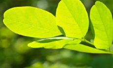 揭示上天昭示童子离去的征兆:从手相特征看离别的迹象