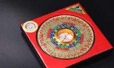 当居所中现蝎子,预示家中的风水将如何呢?解析蝎子风水现象