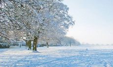 女性做梦时梦见茫茫白雪,这意味着什么?