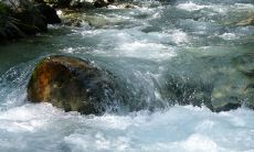 女性做梦预示水运顺畅是否能够带来好运呢?这里我们探讨一下梦见水象征的意义和预示的预兆