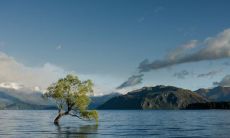 当男人梦见自身性器官涨大时,该梦象预示着何种意义和预示的未来趋势?