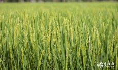 2023年2月22日与2月23日哪天搬家更好?必须在这两个日期中做选择吗?考虑各种因素来做出最明智的决定!