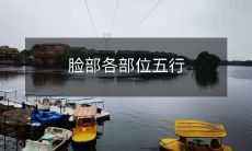 理论:从面相学到中医五行,了解脸部各部位与身体内外环境的关系