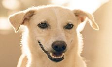 三十岁前后女性左眼跳动的不同预兆,是否能够作为一个好兆头?