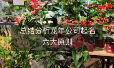 综合分析归纳出的龙年公司起名六大原则,为您提供优质的企业命名参考
