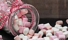 的口袋?属狗人应该食用哪些食物以帮助其招财纳福?