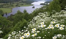 什么生肖女更受男人青睐?优秀男性最喜欢的生肖女是哪种?