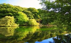 请问2024年是什么天干地支五行?它属于哪一年的农历甲辰年呢?