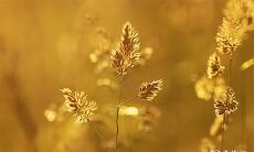 2023年2月26日、27日、28日是否安排办一场隆重的满月喜宴是个好主意?