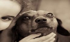 如何为姓李的2023年兔宝取一个高端大气的新生儿名字?