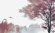 探索与木材毫无关联的行业领域,了解五行属性中木的最新兴起的行业领域