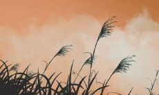 2022年周易预测:哪些人将拥有幸运之光?