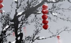 究竟有哪些行业属于火属性?哪些职业与火元素相关?