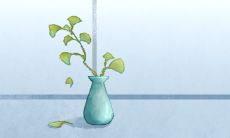 禁止木命从事某些行业——特别是电子维修等相关职业会带来严重后果